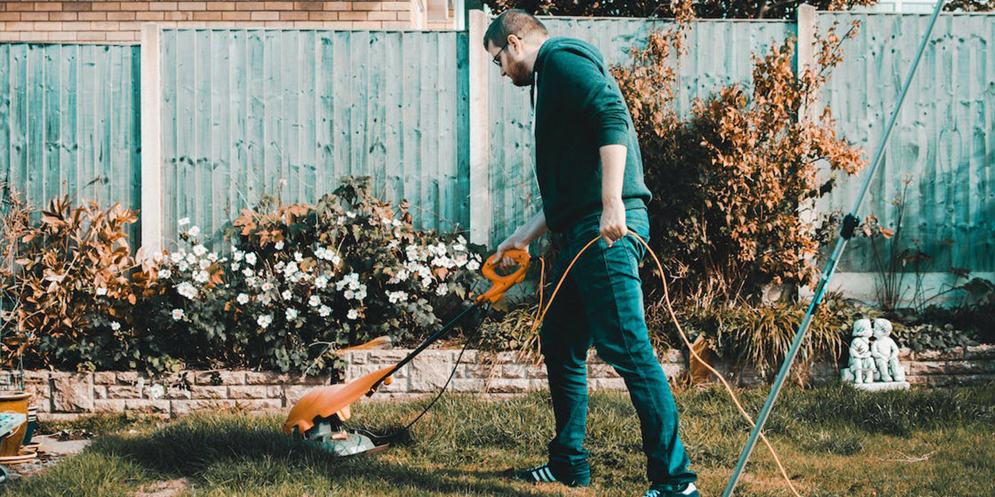 Yard Cleaning